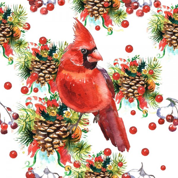 Uccello 5d Diy Kit Diamond Painting Pittura Di Diamante NO131