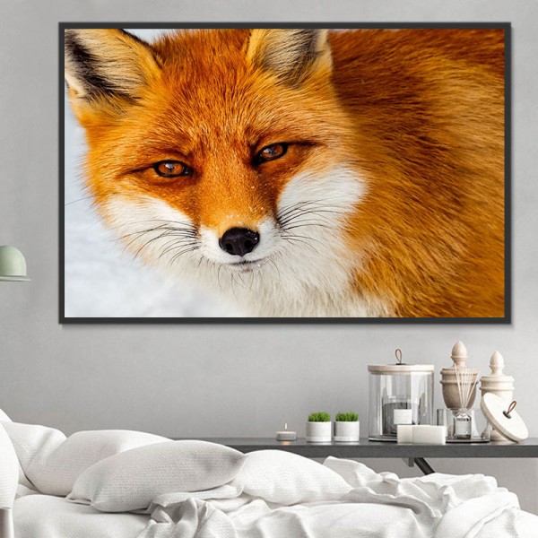 Volpe 5d Diy Kit Diamond Painting Pittura Di Diamante NO120