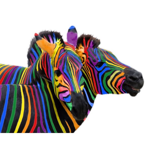 Zebra 5d Diy Kit Diamond Painting Pittura Di Diamante NO116