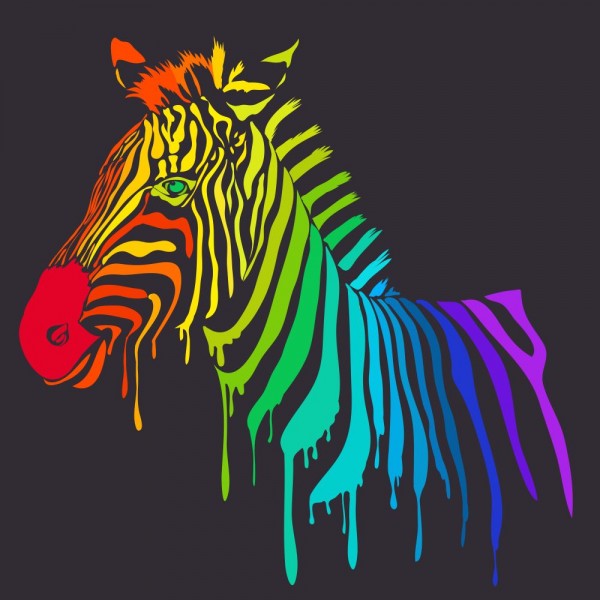 Zebra 5d Diy Kit Diamond Painting Pittura Di Diamante NO114