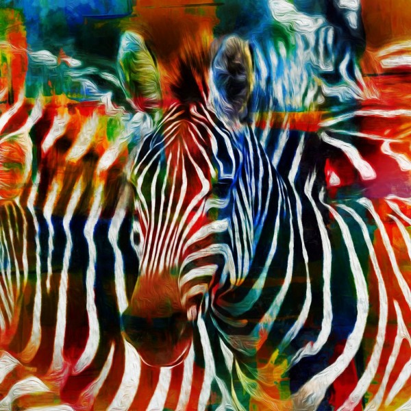 Zebra 5d Diy Kit Diamond Painting Pittura Di Diamante NO110