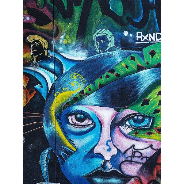 Ritratto 5d Diy Kit Diamond Painting Pittura Di Diamante NO44