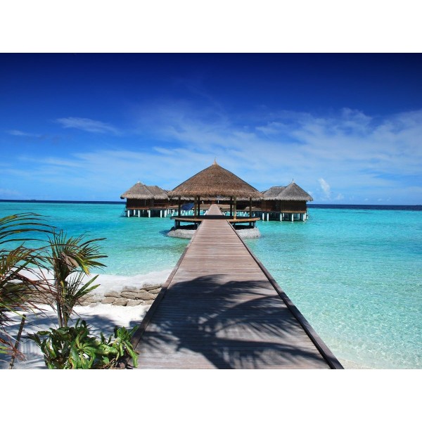 Ponte 5d Diy Kit Diamond Painting Pittura Di Diamante NO25